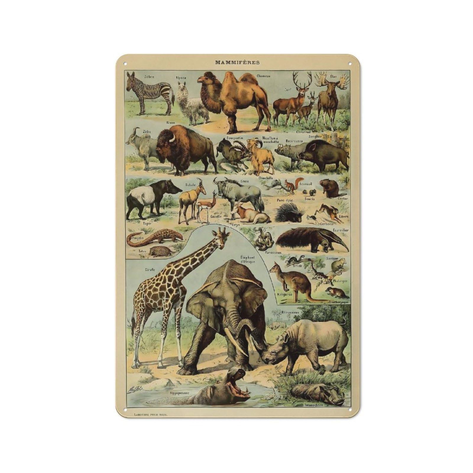 Junmoney Style-8 Adolphe Millot Mammals V1 Retro Metal Wall Decor 30X20cm, Tin Wall Sign For Coffee Bar, Small Shop Or Dining Room