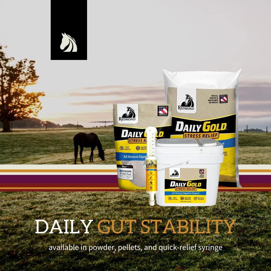 Daily Gold Stress Relief – Natural Digestive and Ulcer Supplement for Horses : Pet Supplies