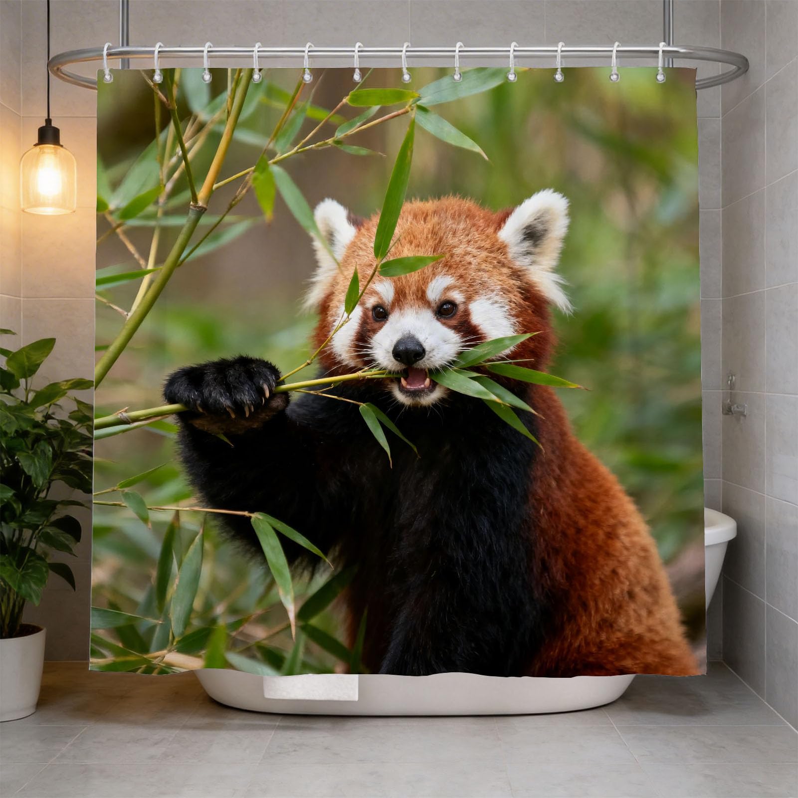Hongduo 3D Red Panda Shower Curtain for Stalls Bathtubs Lovely Bathroom Decor Shower Curtain Set Polyester Fabric Waterproof 180x180cm/71X71 Inch with Hooks