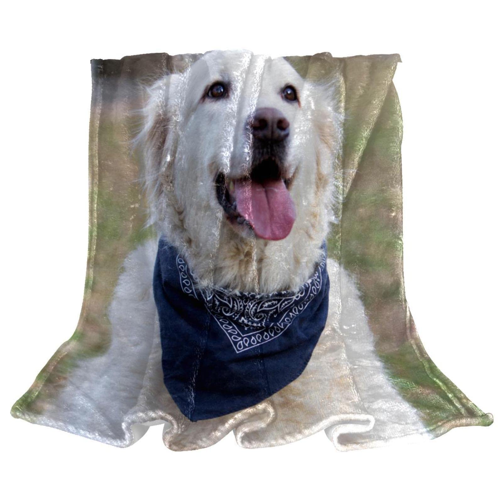 TBOUOBT Couverture Polaire de literie, décorative pour Le Sol du canapé de la Chambre,Golden Retriever Animal Chien Pet