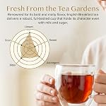 VAHDAM, Feuilles de thé noir pour le petit déjeuner (340g | 170+ Coupes) Forte, riche & Thé aromatique à feuilles longues, Thé noir le plus fin du monde - Brew chaud, thé glacé, thé Kombucha Meilleure longue feuille grade