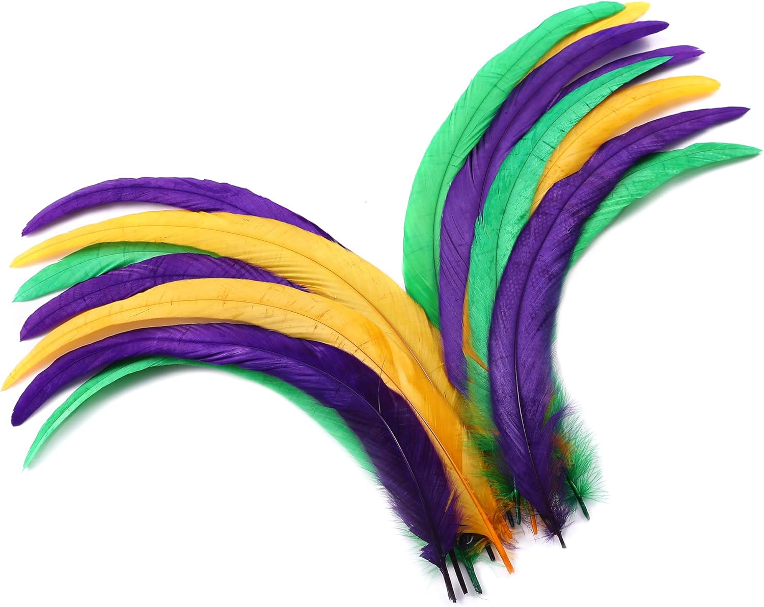 Holmgren Mardi Gras Rooster Feathers - 60pcs 12-14inch Natural Long Rooster Tail Feathers Bulk for DIY Crafts Mardi Gras Masquerade Carnival Party Performances Decoration (Mardi Gras)