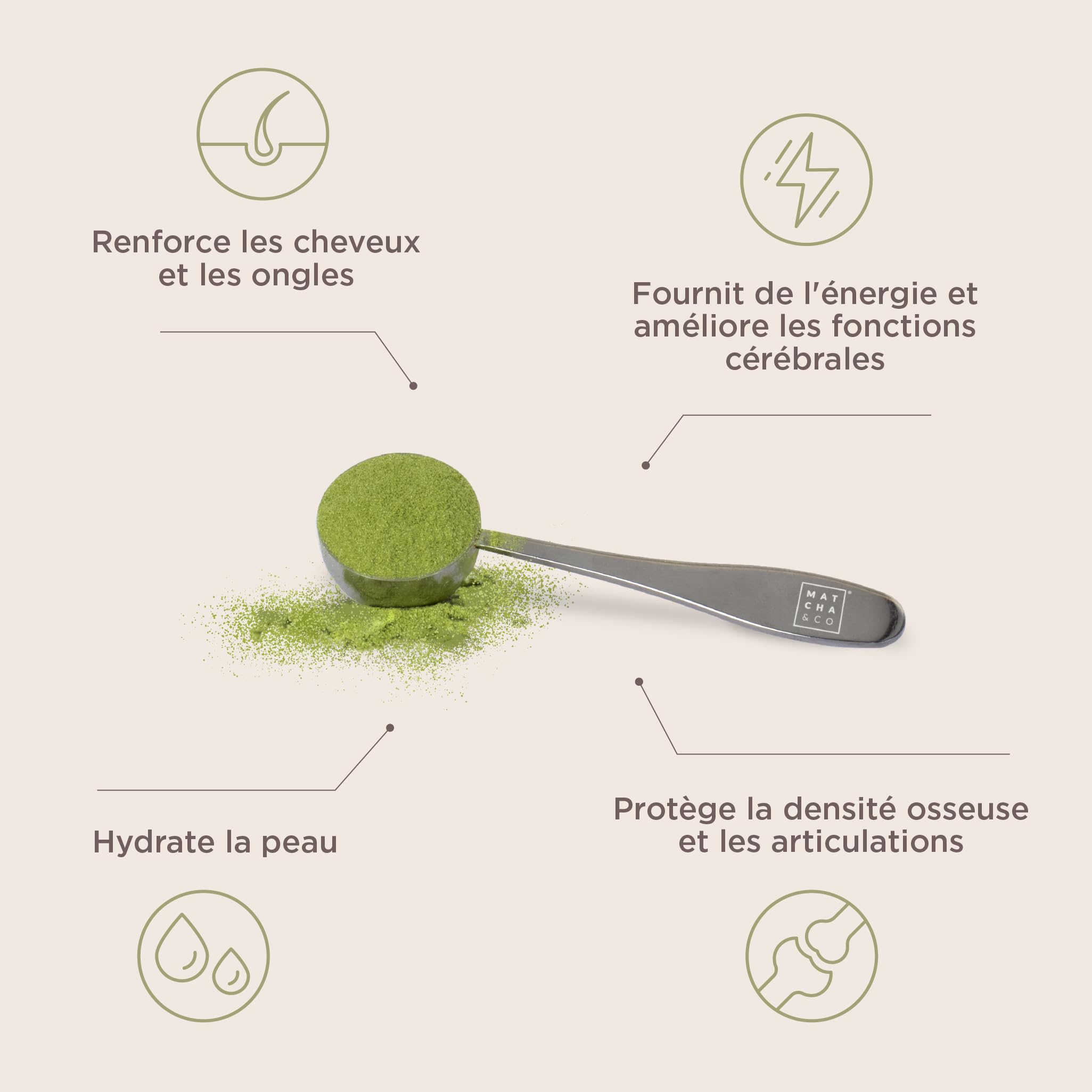 Matcha Collagène. Collagène avec Magnésium, Thé Matcha et Acide Hyaluronique. Articulations, peau et ongles. 300 g matcha collagène en poudre. Saveur Matcha