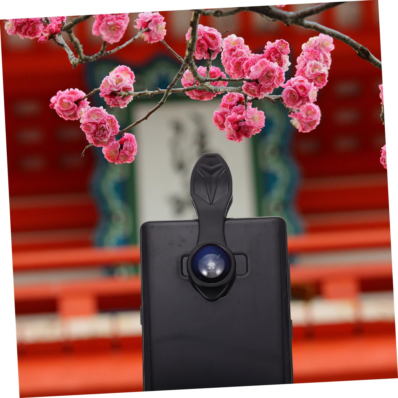Obiettivi per Fotocamera Telefonica Clip Obiettivo Macro per Telefono e Grandangolare Realizzato in Lega di Alluminio e Vetro Antigrasso per Scatti Nitidi