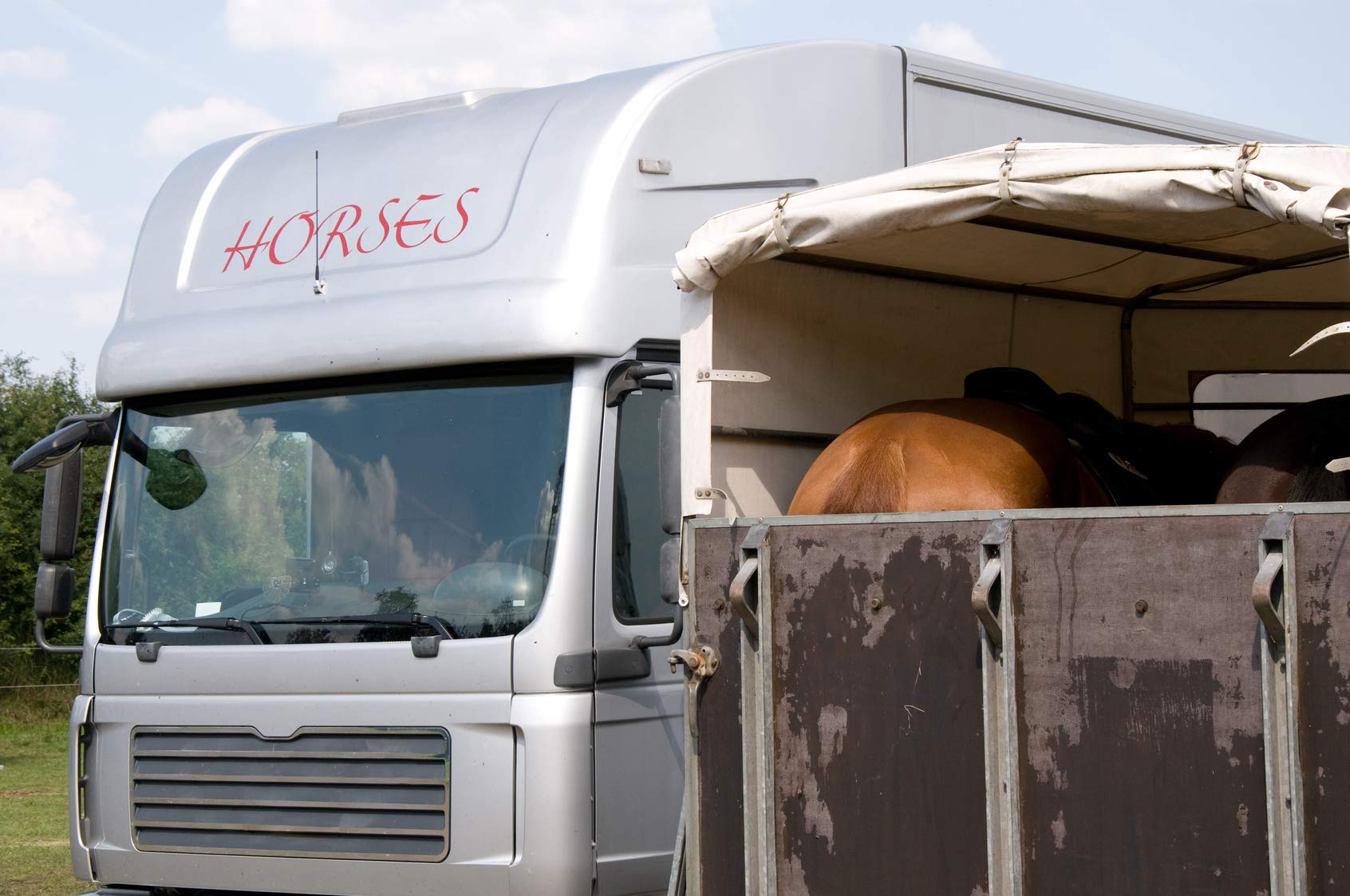 KaiserRein Anhänger Reiniger 1L gründlich absorbiert unangenehme Gerüche Pferde-transporter und Pferde-anhänger Reinigungsmittel