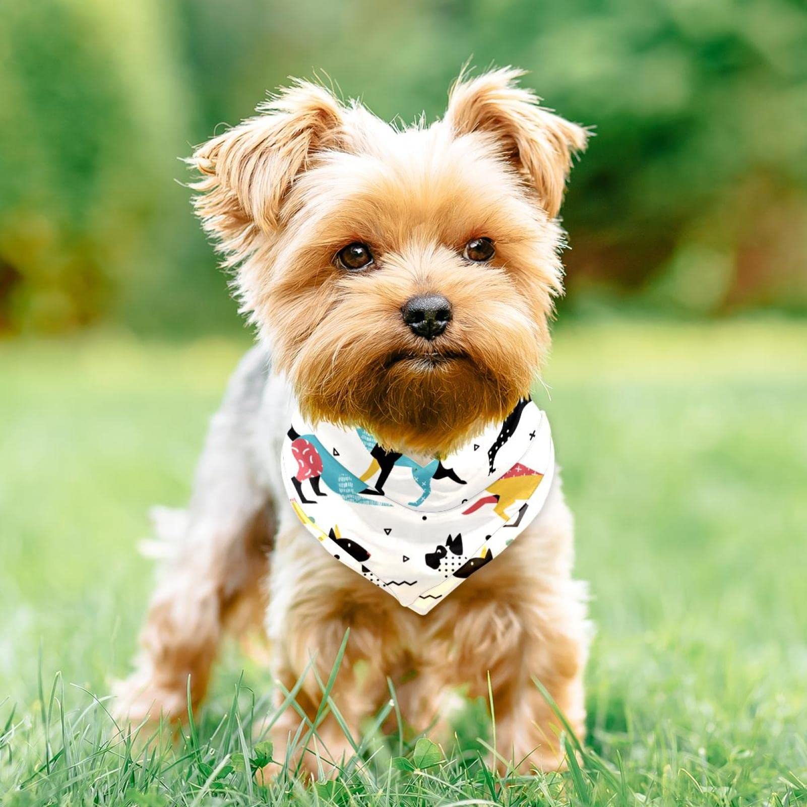 Krankenschwester-Hundehalstuch – Medizinisches Design Für Pfiffige Hunde, 45,7 X 45,7 Cm, Aus Polyester
