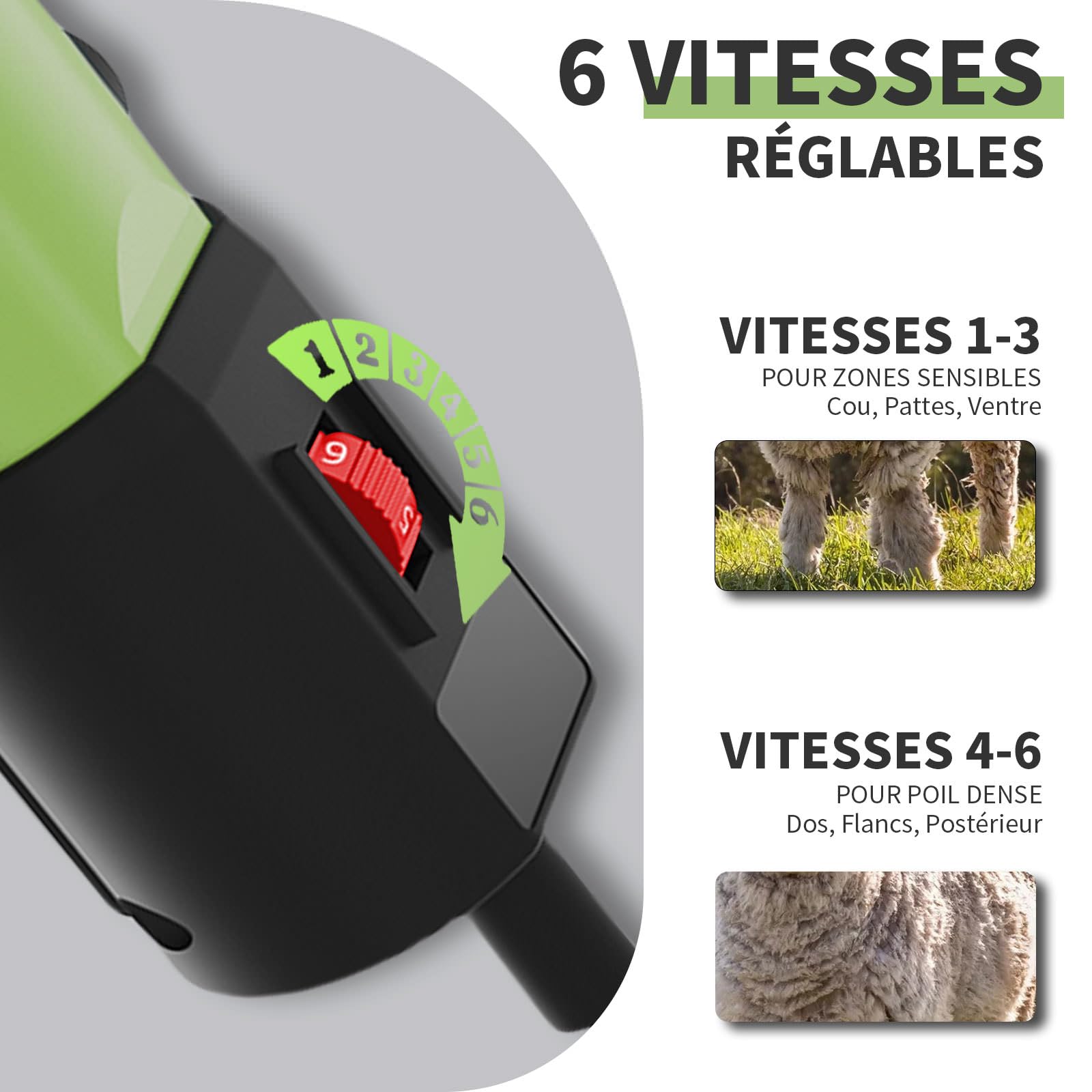 1200W Tondeuse a Mouton Professionnelle, 6 Vitesses Réglables 3200 tr/min, Lame 13 Dents pour Moutons Chèvres Alpagas, avec Manuel Français et Vidéo (Vert)