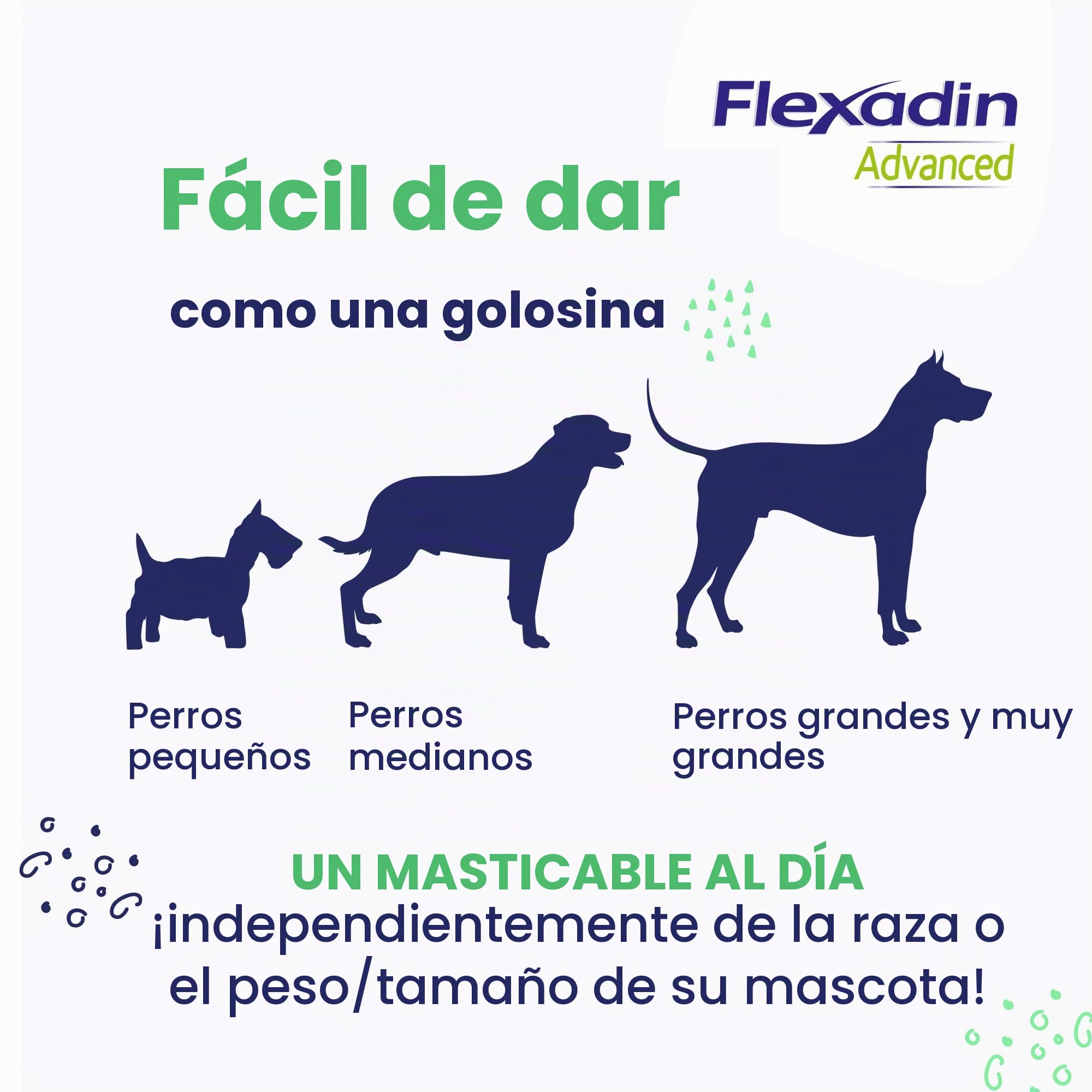 Flexadin Advanced para perros | Paquete doble | 2 x 60 Chews | Complemento alimenticio para apoyar la salud articular | Con colágeno inmunoactivo, Omega-3 y vitamina E