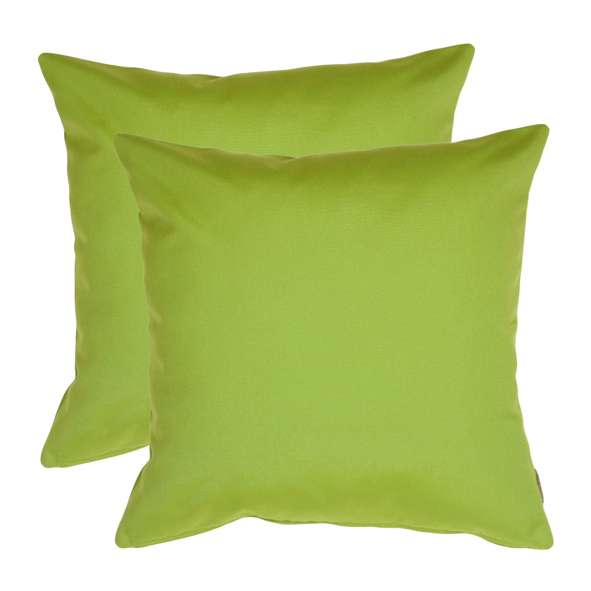 PILLOW DÉCOR Sunbrella Outdoor Pillow, Macaw Green, 20