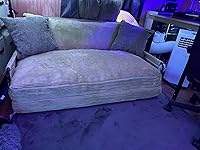 Review Image by Floyd Floyd