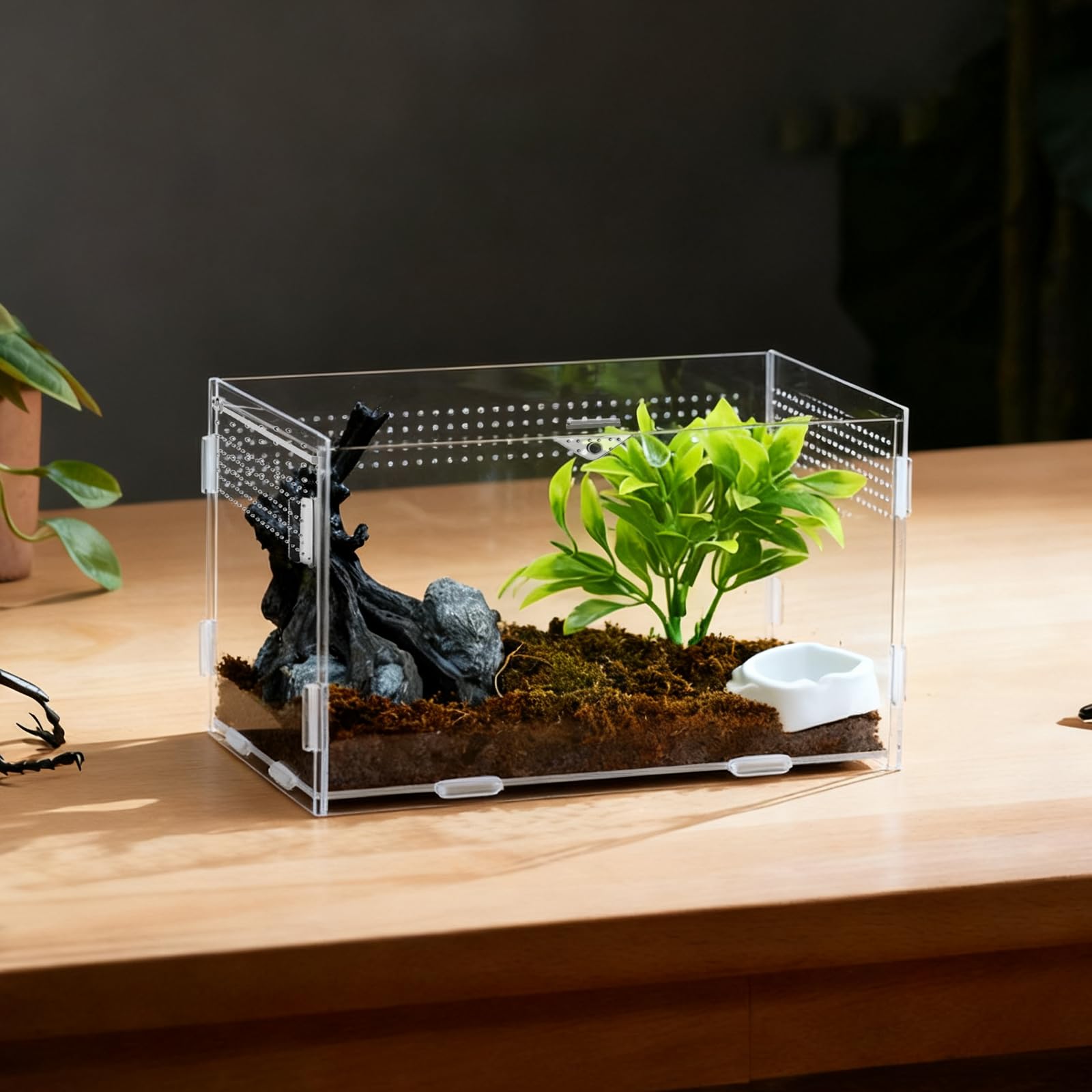 Terrarium akrylowe ślimaki, 20 x 12 x 12 cm, terrarium akrylowe, przezroczyste małe z otworami wentylacyjnymi wivarium, dla pająków, gekonów, żółwi, pojemnik na owady