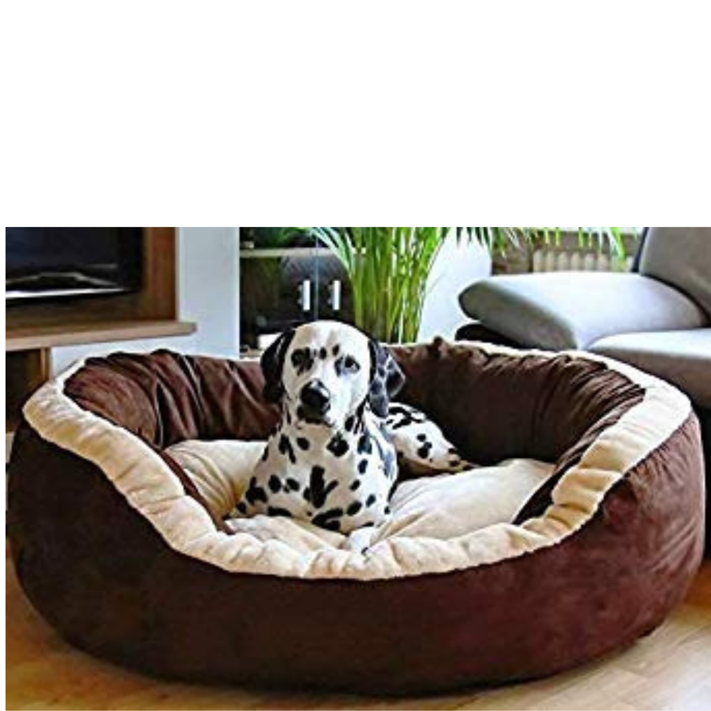 DRILLY Washable Dog/cat Bed with Blanket for Small | Medium | Large | Extra Large | XXL | 3XL | 4XL Size Dogs | Cats | Puppy | pet | Rabbit | Persian cat | Indoor cat (XL) (B0C5TMCKCM) Amazon Price History, Amazon Price Tracker
