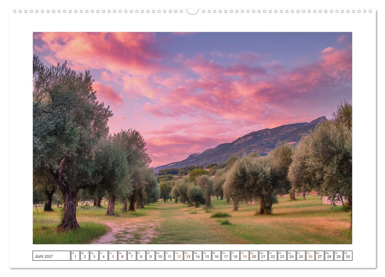 Die Magie der Olivenhaine (hochwertiger Premium Wandkalender 2027 DIN A2 quer), Kunstdruck in Hochglanz: Silbergrüne Olivenhaine, warmes Licht und die ... dich durch das Jahr. (CALVENDO Natur)
