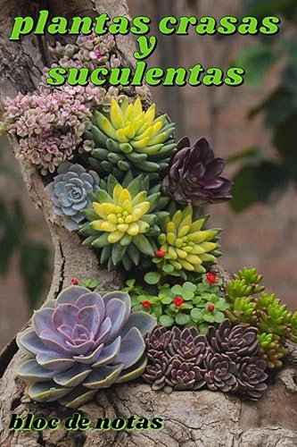 Plantas Crasas y Suculentas - bloc de notas Aficionados o profesionales - Escriba sus plantas en minutos (Spanish Edition)