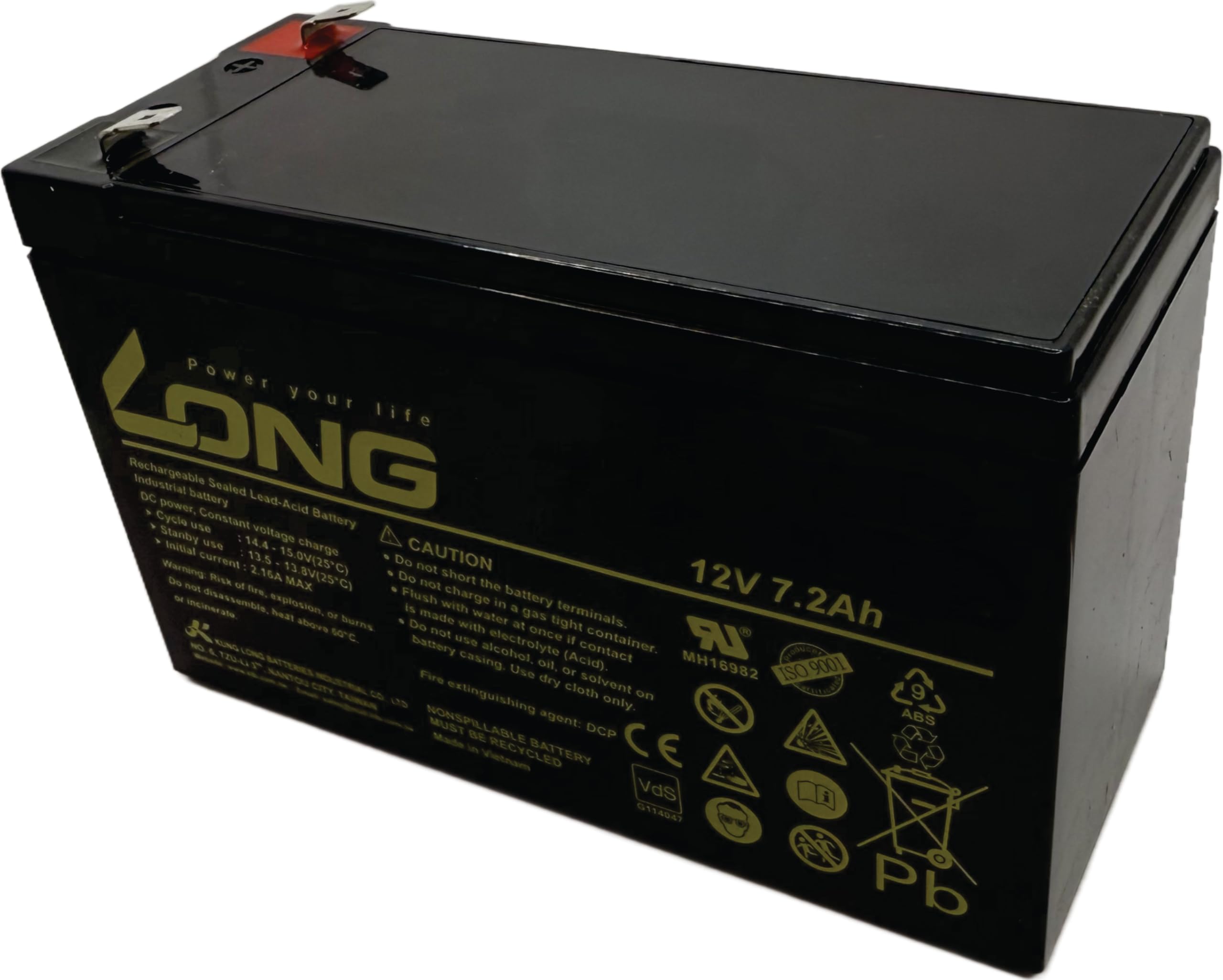 Leoch Batteria Di Ricambio Per UPS APC Back-UPS CS500 – Manutenzione Assente - 2