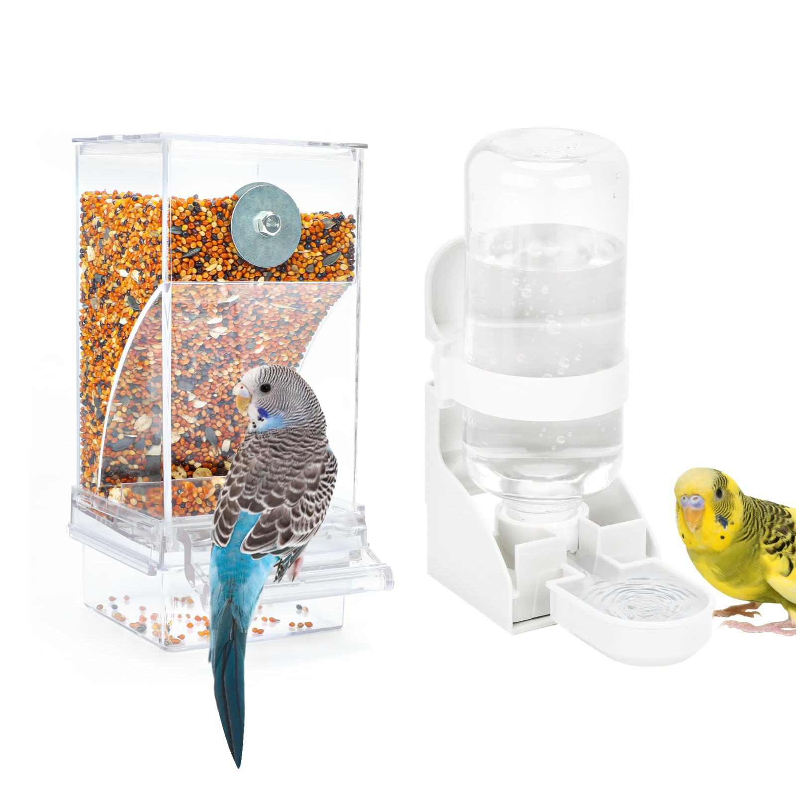 Distributeur d'eau pour oiseaux pour éviter l'eau salie par les perruches