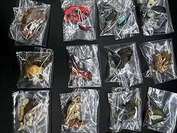 Amazon | 海洋堂チョコQ アニマテイルズ 日本の動物編10弾