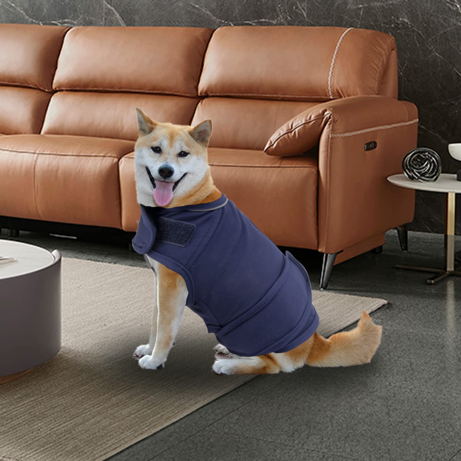 Do Weighted Vests Help With Separation Anxiety In Dogs