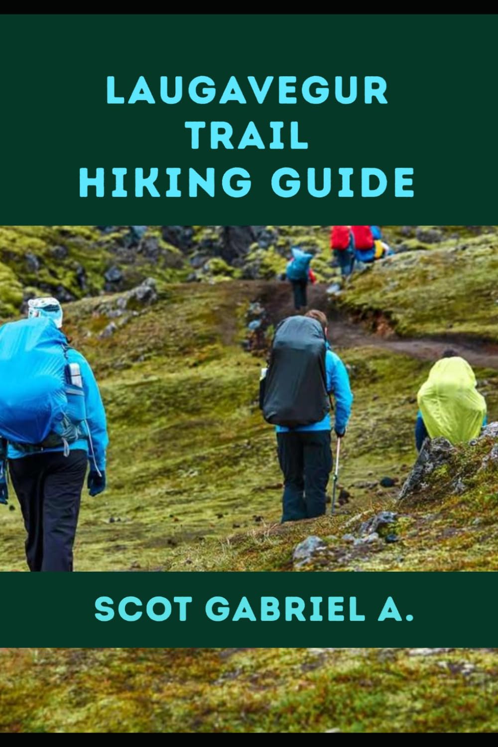 LAUGAVEGUR TRAIL HIKING GUIDE: 13 (The Explorer’s Hiking Collection)