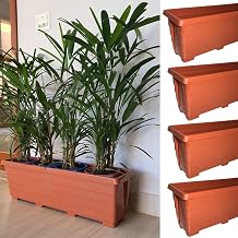 Kit Vasos Jardineira para Plantas Grande Terracota Floreira (5, 50cm)