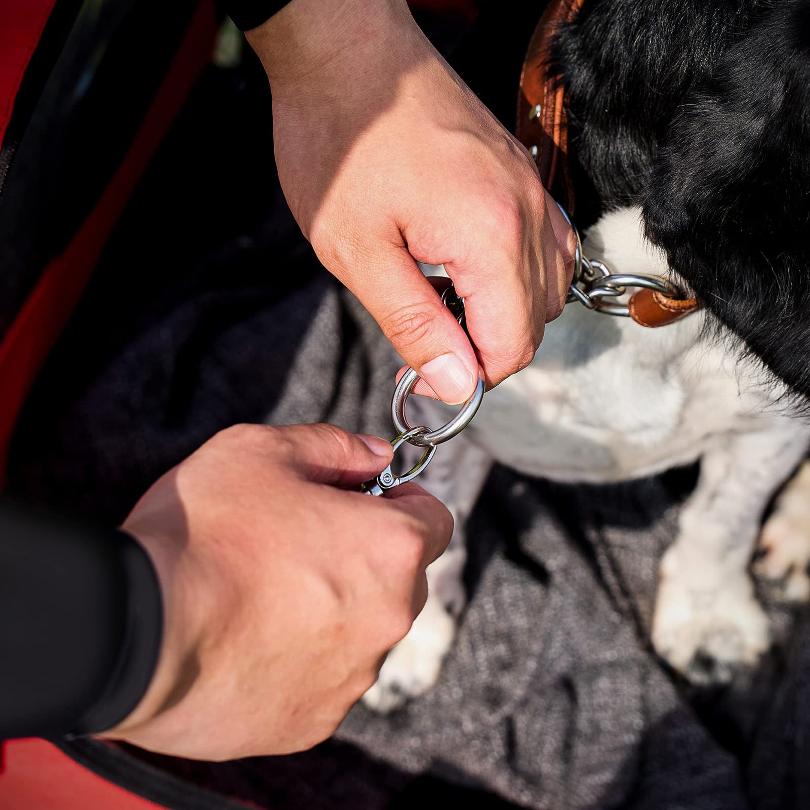 SogesHome Remolque para Perros Remolque de Bicicleta para Perros Viaje y Transporte Remolque de Bicicleta para Perros XXL Remolque de Bicicleta y Carro Accesorios para 600D Oxford