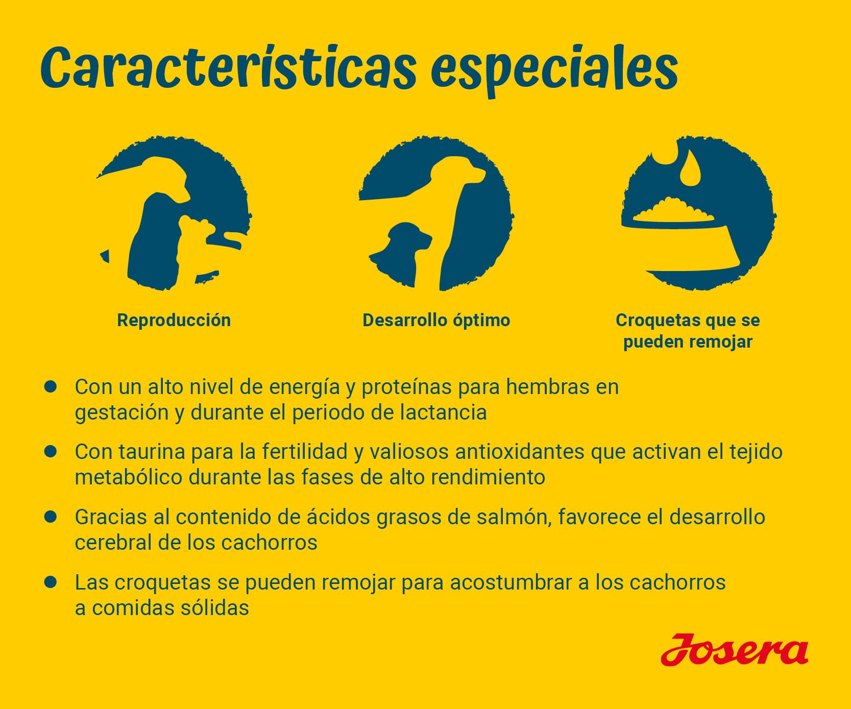 JOSERA Family Plus (1 x 12,5 kg) | Puppy | Comida Seca Premium para Perras y Cachorros preñadores/Lactantes | salmón y Aves de Corral | Suministro óptimo con Enegie y L-carnitina | Sin Trigo | 1
