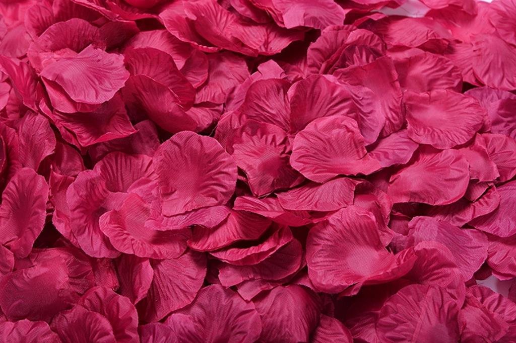 La TarteletteSilk Rose Petals Wedding Flower Decoration (4000 Pcs, Rose Red)