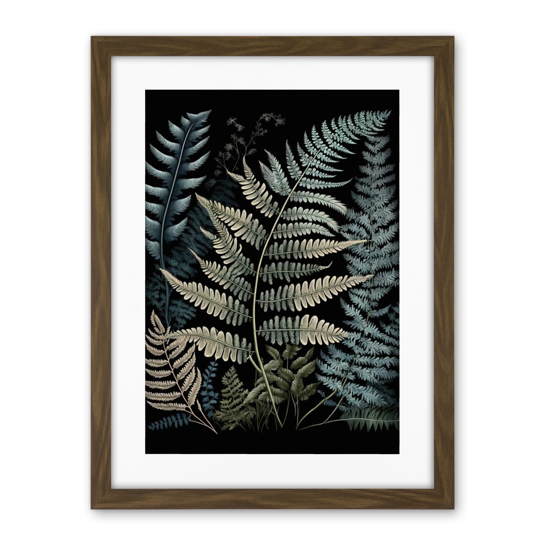 Artery8 Fern Frond Species Detailed Botanical Illustration Artwork Framed Wall Art Print 18X24 Inch