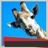 Beende die nächsten Schritte und spüre die Freude mit den Giraffe Fotorahmen: