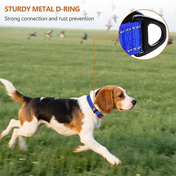 Taglory Reflective Dog Collar for Medium Dogs, Padded Nylon with Buckle