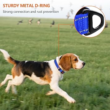 Taglory Reflective Dog Collar for Medium Dogs, Padded Nylon with Buckle