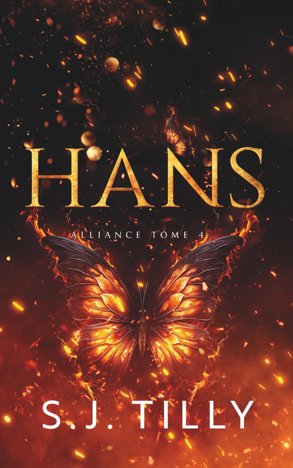 Hans: Une dark romance mafieuse (Alliance)