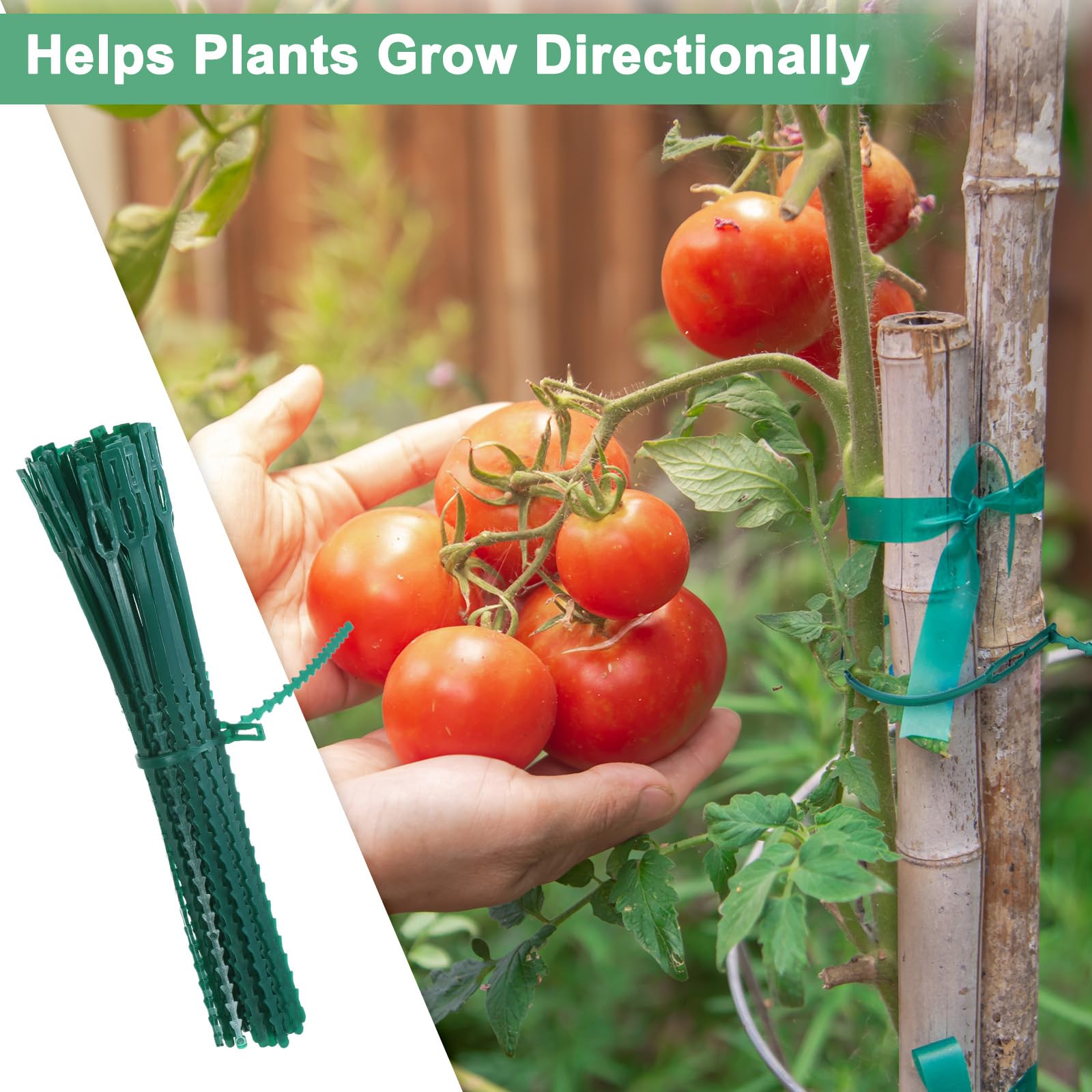 Plant Ties Home Depotnull