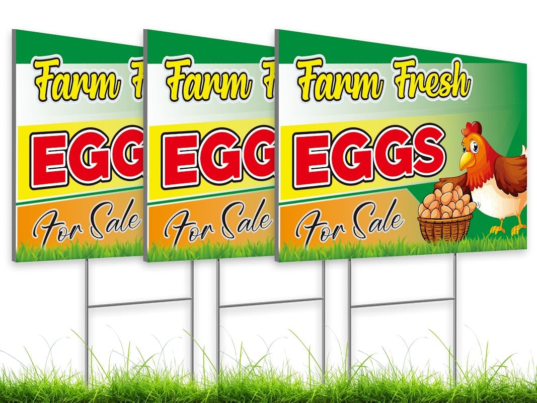 Schild „Fresh Eggs For Sale“ – 45,7x61 Cm, Doppelseitig, Coroplast, Mit Metall-Pfählen