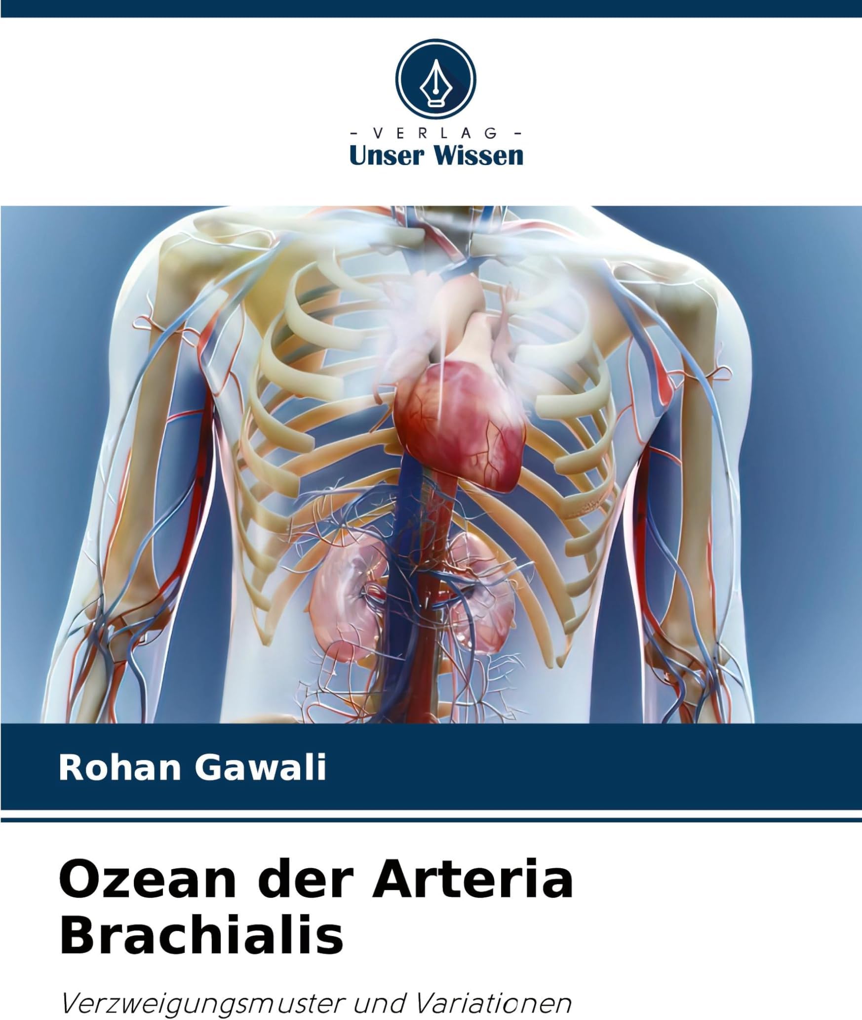 Ozean der Arteria Brachialis