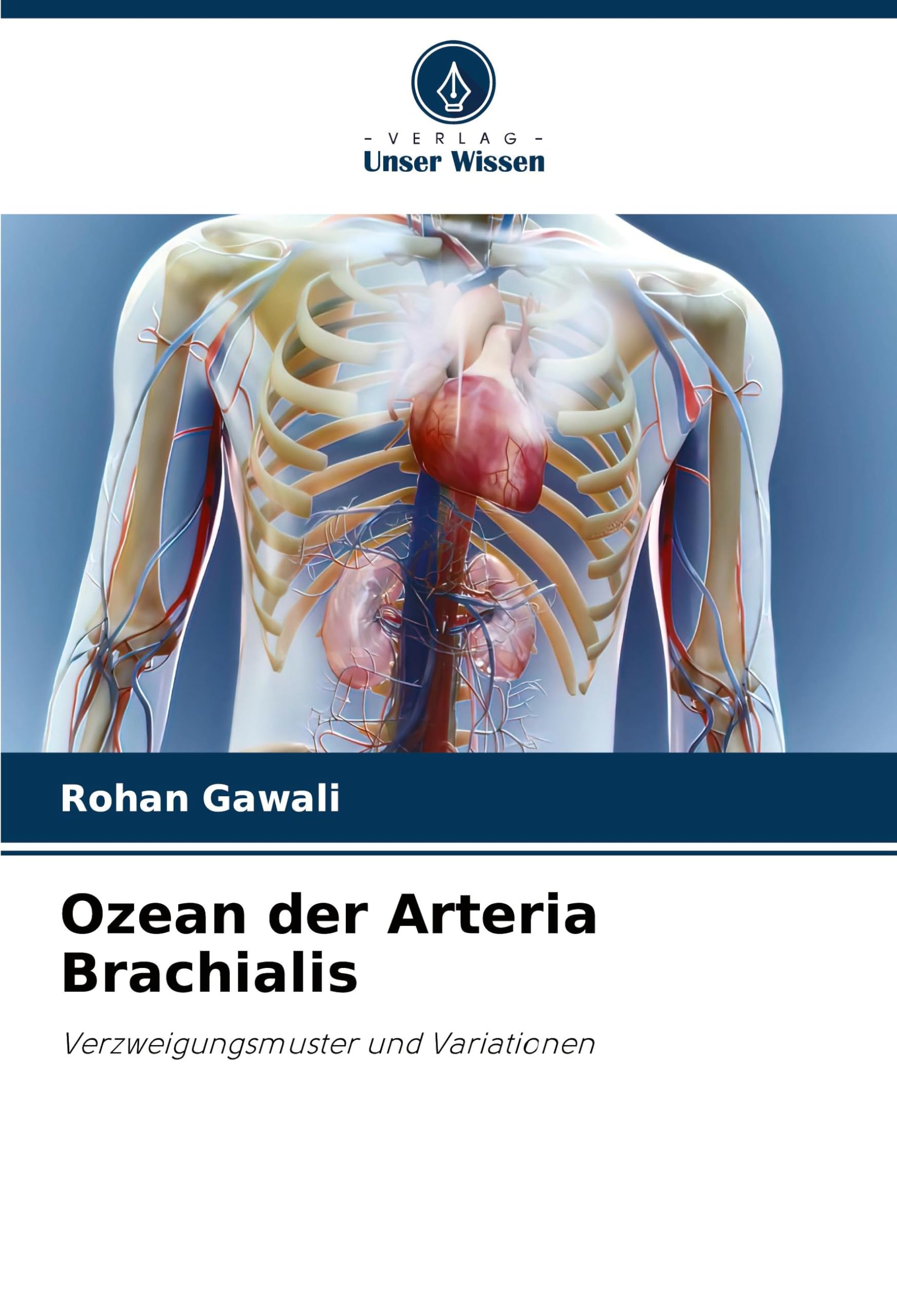 Ozean der Arteria Brachialis