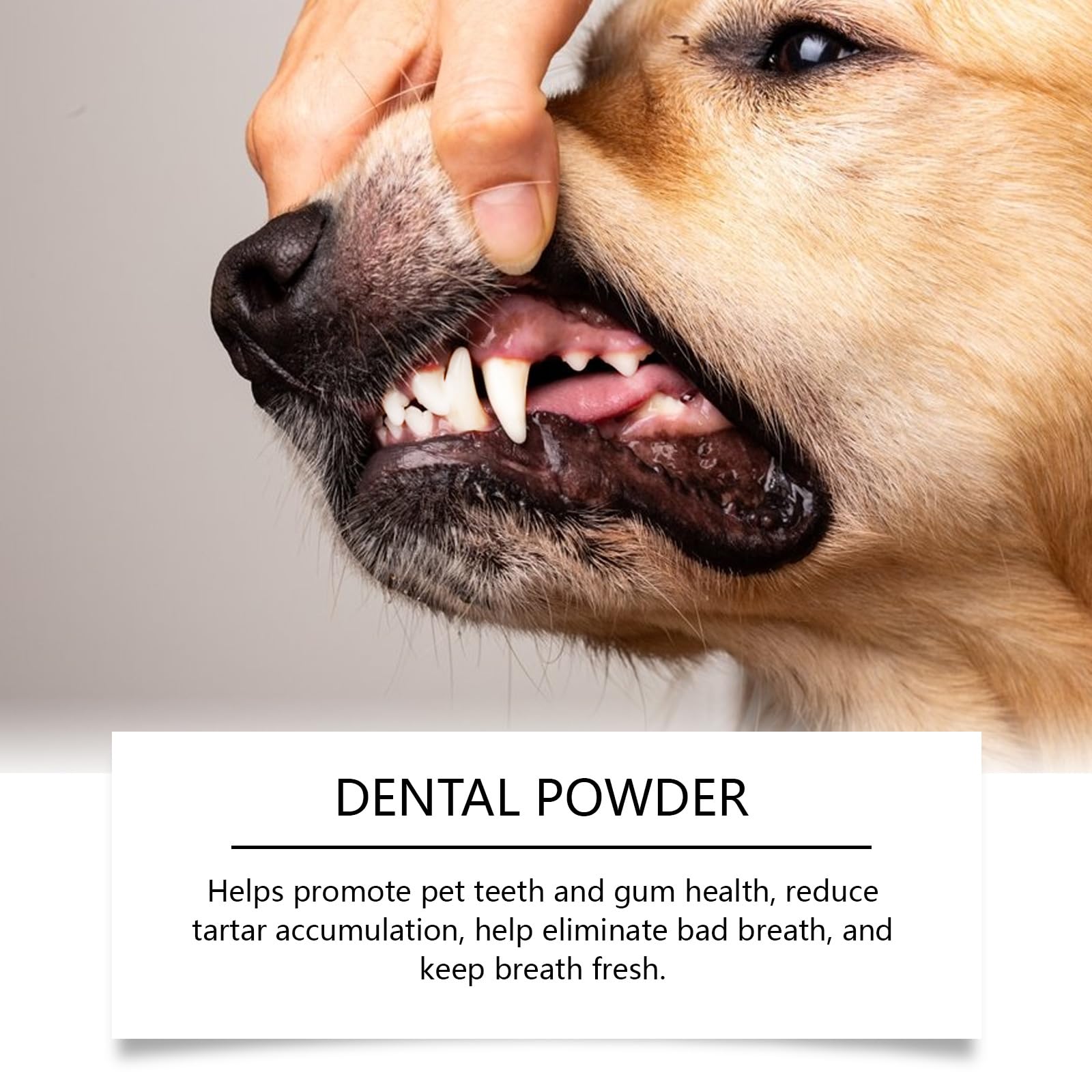 Polvo dental para perros para la limpieza dental, polvo para el cuidado dental de perros, polvo para limpieza dental sin cepillo, control de placa y sarro con probióticos, sabor a menta. (8 Cajas)