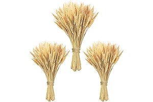 300 Stems Decorative Wheat Grass Wreaths Bundle, 18" Dried Wheat Sheaves for DIY Party Décor