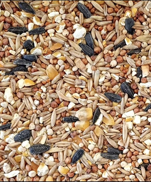 No Wheat Mixture 15kg Premium Wild Bird Food Garden Seed Feed
