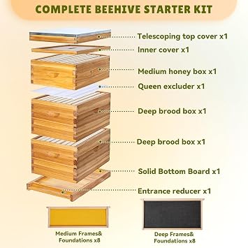 8-Frame Beehive Starter Kit, Langstroth Complete Beeswax-Coated Hive Boxes with Frames & Waxed Foundations, Includes 2 Deep Brood Boxes & 1 Medium Super (Unassembled)