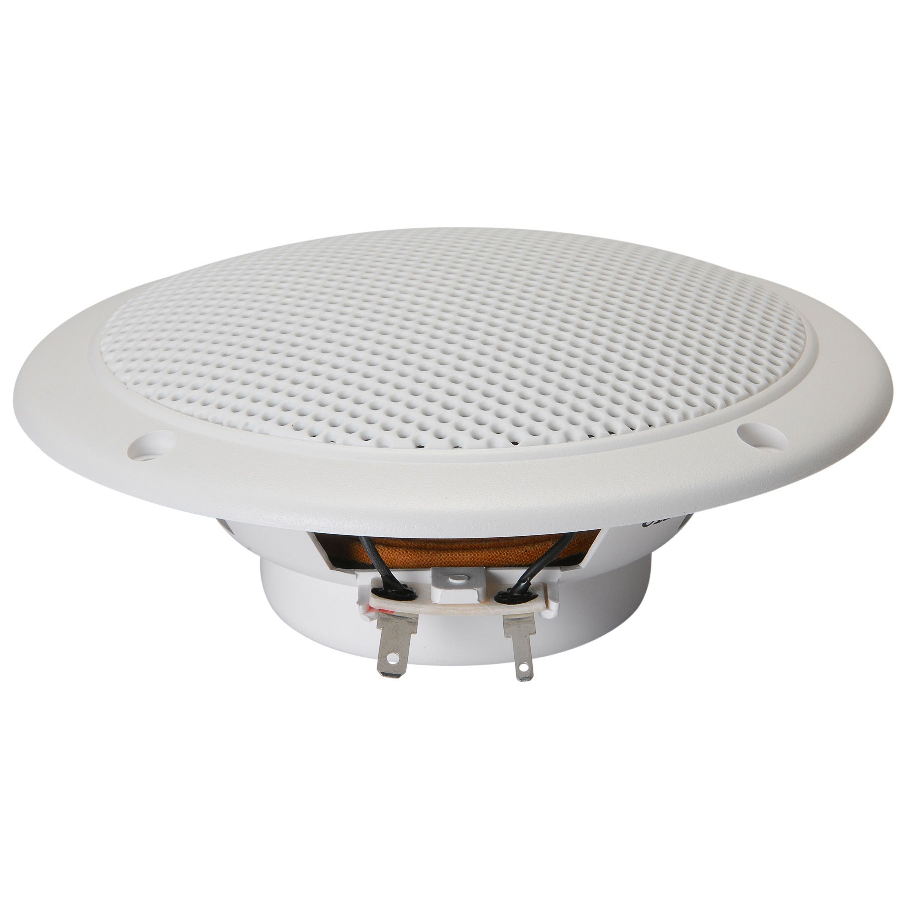 Visaton 2113 - Altavoz (5", 40 W, 60 W, 70-16000 Hz, 2 cm) color blanco