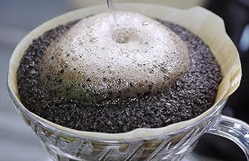 カカ Kawasaki ZX-10R 1000 Performance Edition 2010 - Motorcycle