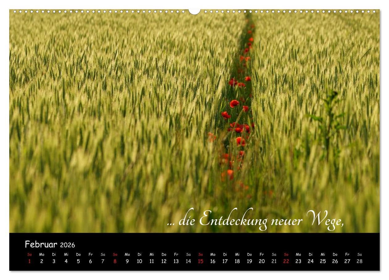 Gut gelaunt durch's Rentenjahr (Wandkalender 2026 DIN A2 quer), CALVENDO Monatskalender: Mit lustigen Motiven durch den Ruhestand (CALVENDO Menschen)
