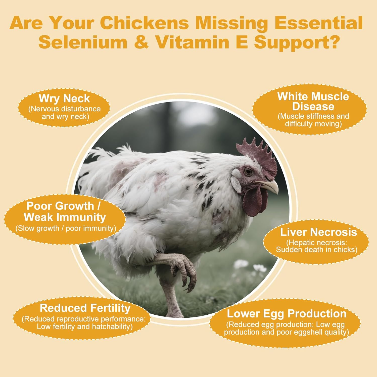 Selenium and Vitamin E Powder for Chickens, Selenium for Chickens, Immune System, Muscle Support & Prevents, Improve Wry Neck, Selenium, Vitamin E Supplements, Suitable for All Poultry, Chicken & More