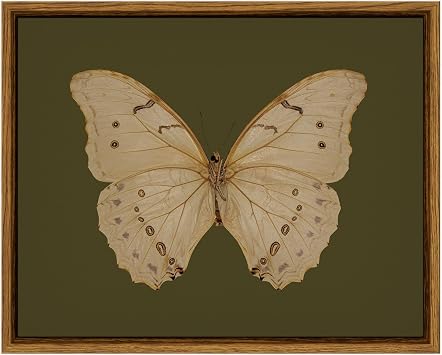 VIYYIEA Framed Wall Art, Vintage Butterfly Canvas Wall Art White Butterfly Moody Insect Artwork Prints Picture for Living Room Bedroom Farmhouse Bathroom Office Decor, 8x10inch