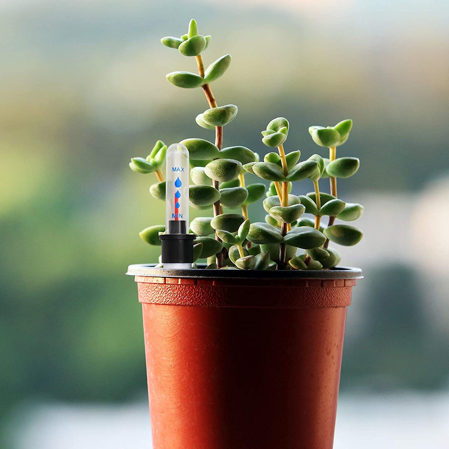 4 Indicateurs De Niveau D'Eau Pour Plantes - Jauge Hydroponique Pour Pots De Fleurs D'Intérieur Et Jardinières