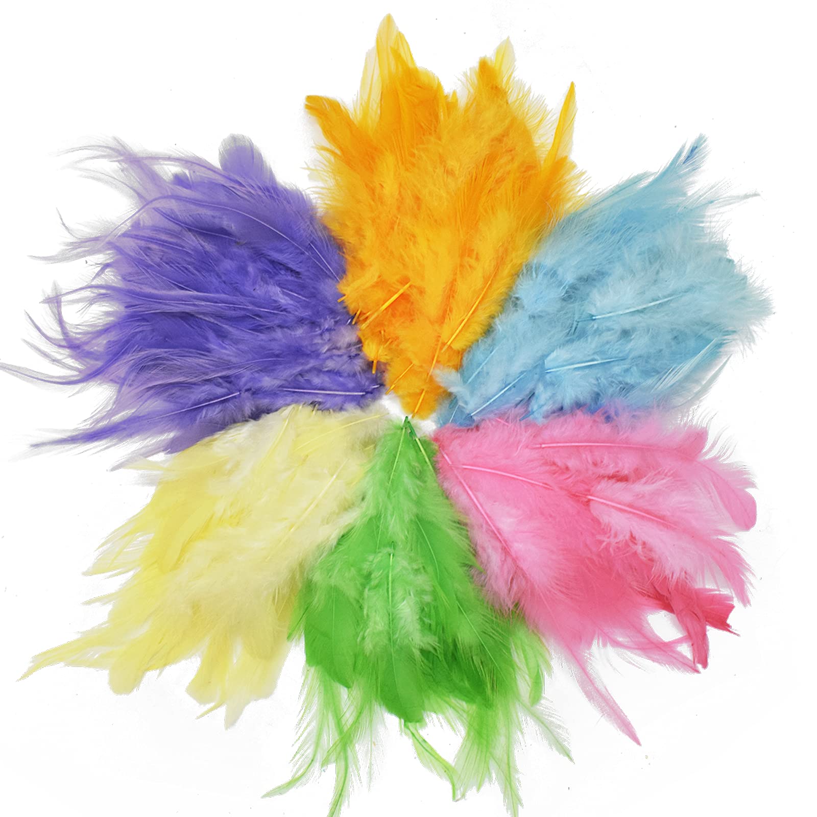 Asian Hobby Crafts Natural Dyed Feathers, Pack of 6 Different Color, 300 Pieces Approx