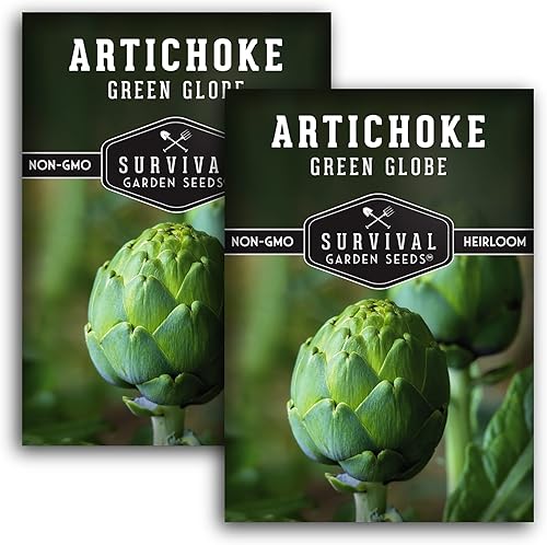 Miniatura 1 de Semillas de alcachofa Green Globe para plantar, paquete con instrucciones para plantar y cultivar Cynara Scolymus perenne en tu jardín de verduras