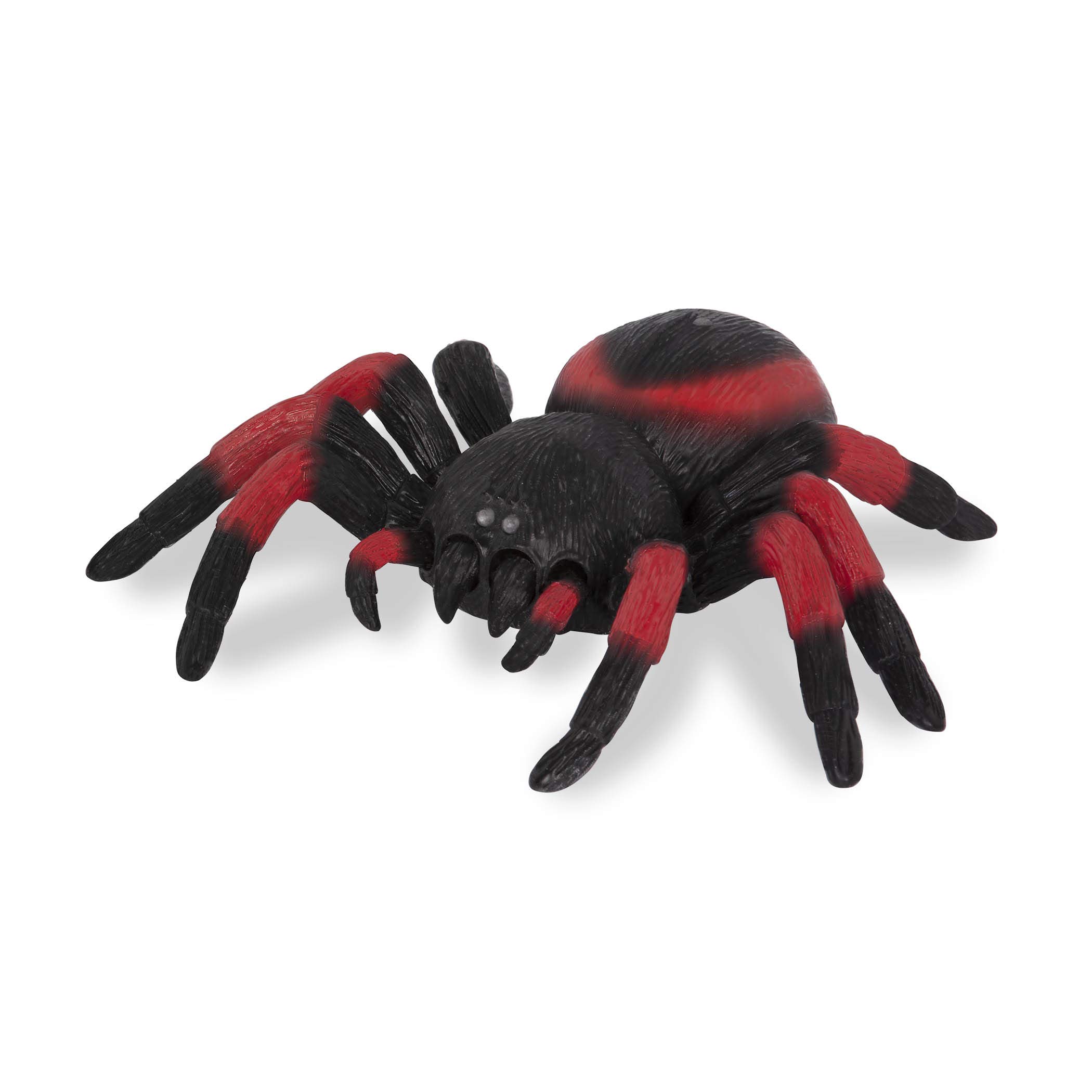 remote control tarantula amazon