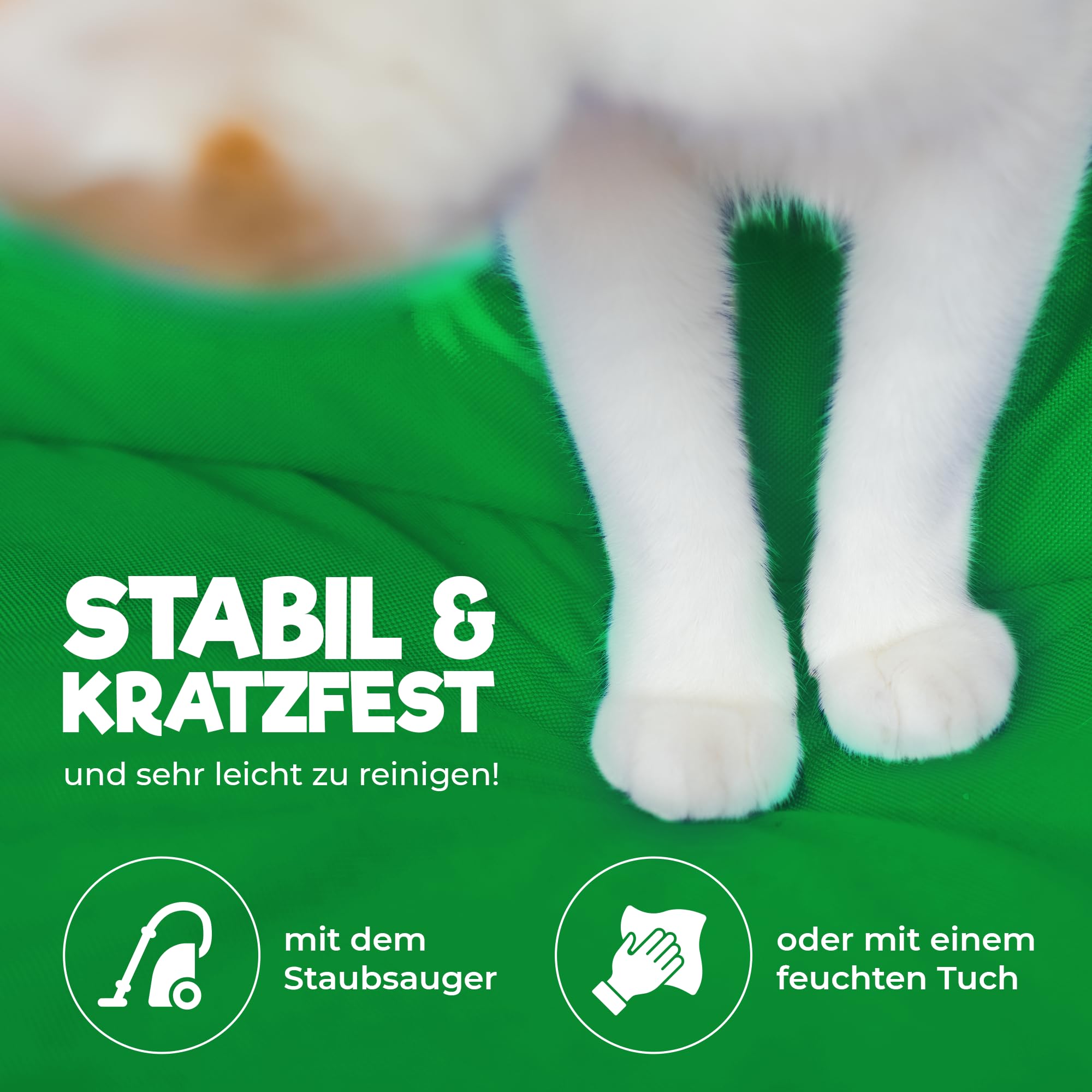 PatchHome Sofá para gatos, certificado Öko-Tex, muebles para gatos, relleno de poliestireno reciclado, accesorio para gatos, fabricado en Alemania, 50 x 40 x 15 cm, color verde